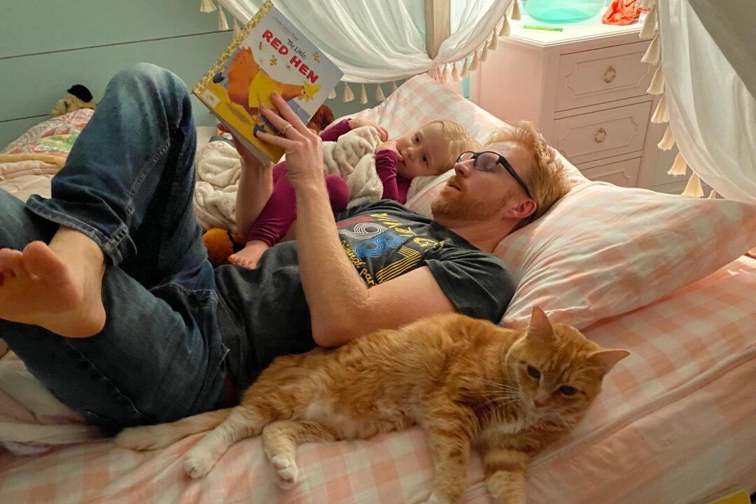 Couple Rescues Lost Cat, Learns Elderly Man Has Been Praying for Her 1,000 Miles Away