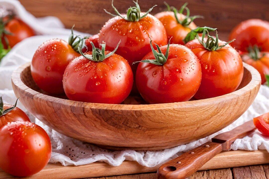 How the Humble Tomato Went From Feared Underdog to Culinary Darling