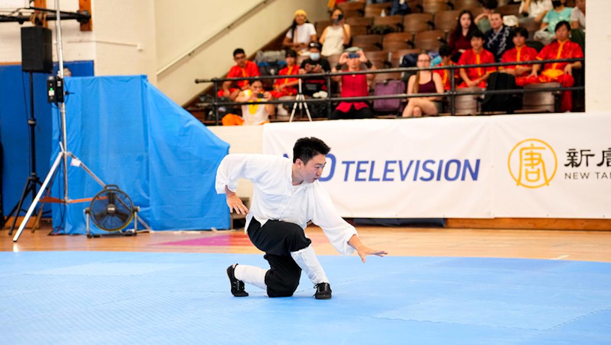 Understanding Traditional Chinese Martial Arts