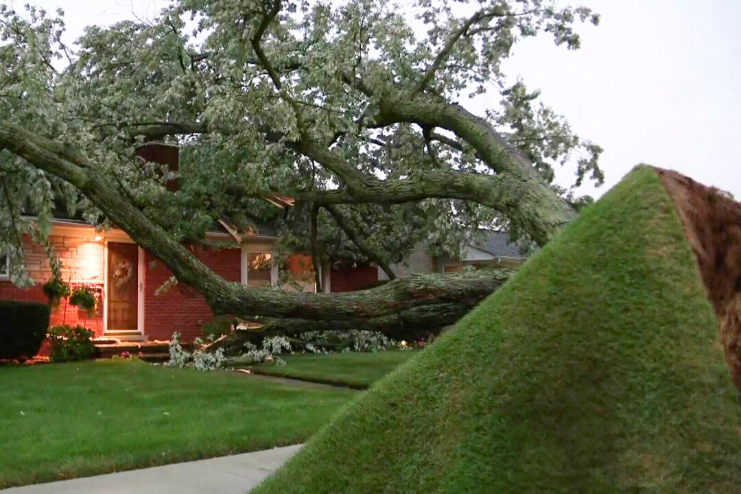 Crews Work to Restore Power to More Than 300,000 Michigan Homes, Businesses After Storms