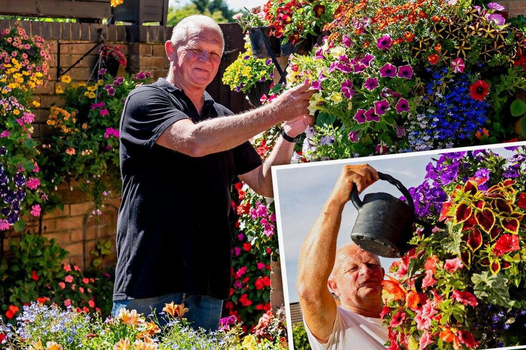 PHOTOS: 61-Year-Old Grandpa’s Multicolored Garden Boasts 200 Hanging Baskets—Here’s How It Looks