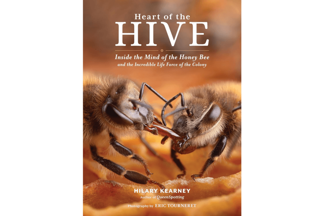 ‘Heart of the Hive’: Home of the Honeybee