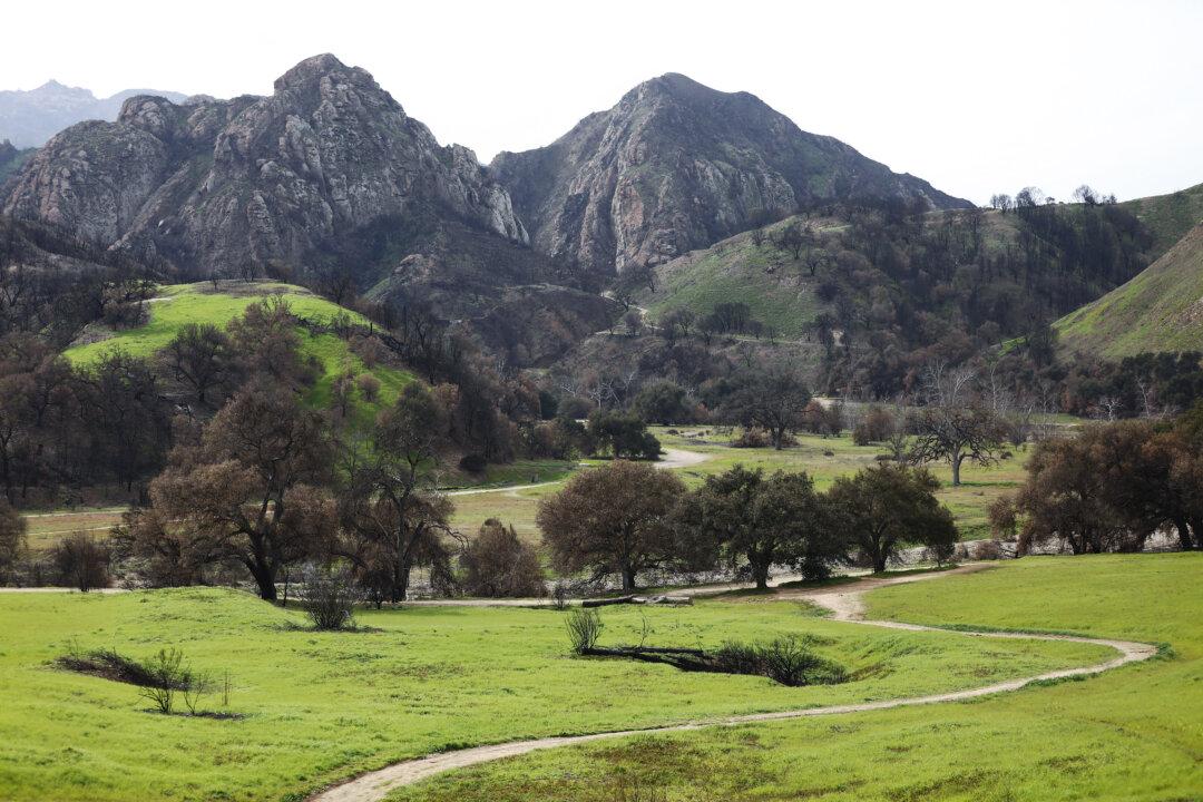 Detectives Investigating Death of Boy Struck by Tree Limb at Camp