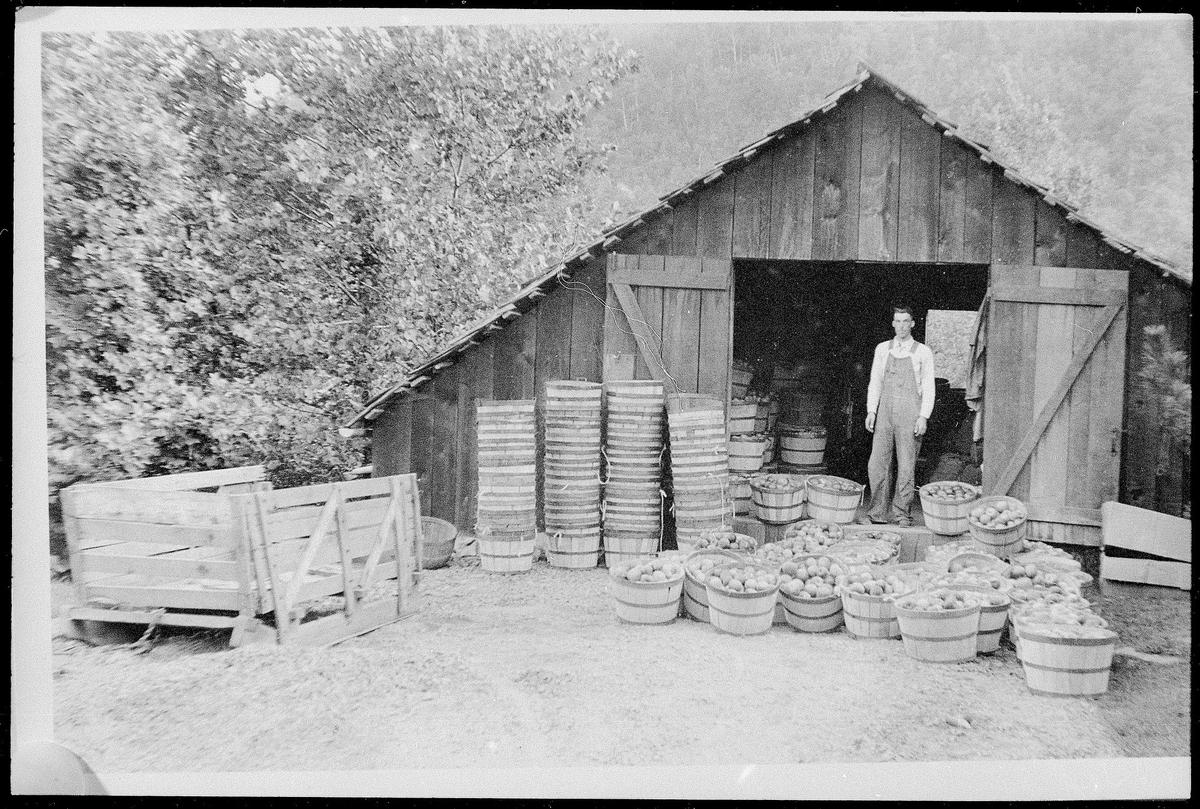 A man stands in front of his apple barn in this 1930s photo. National Park Service. (Public Domain)