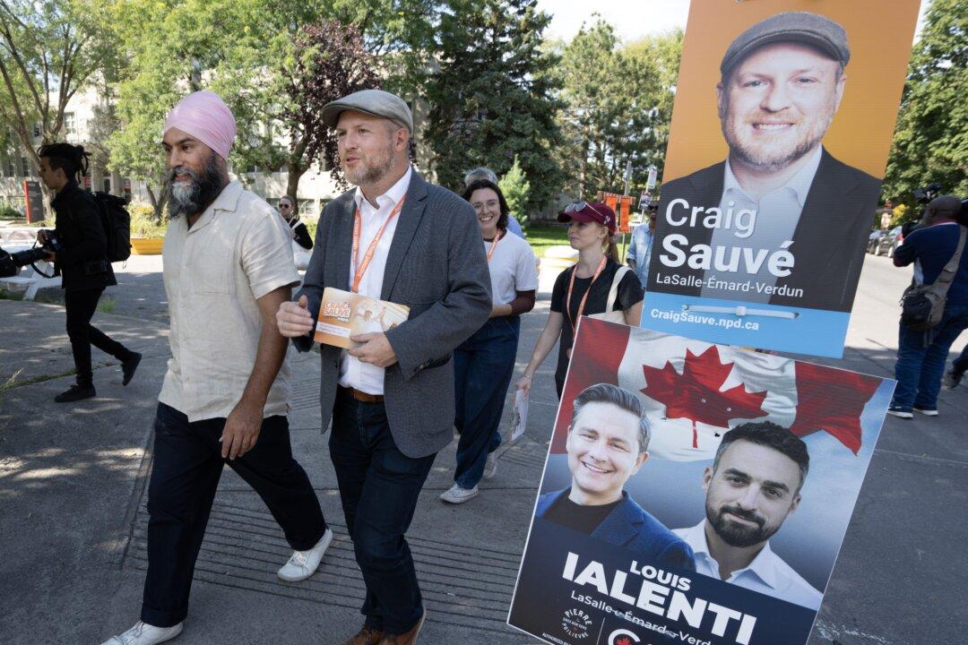 NDP Rejects Criticism of Campaign Leaflet With Palestinian Flag