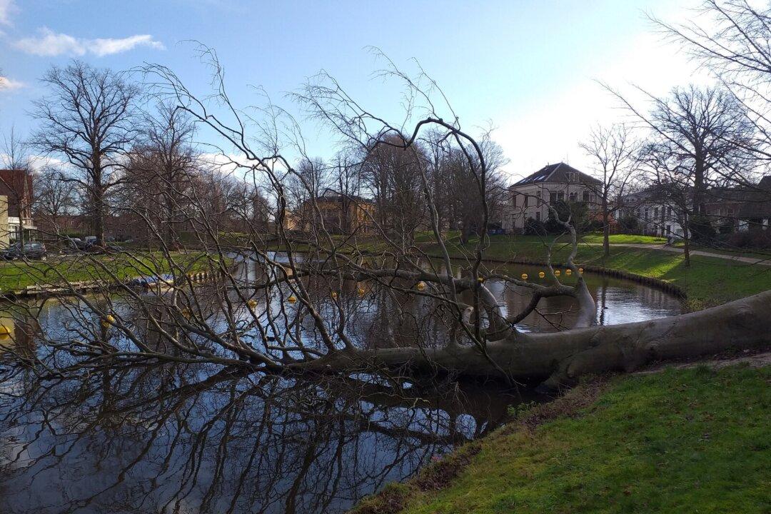 ‘Interlopers’: A Story of Hope Beneath the Surface of Despair