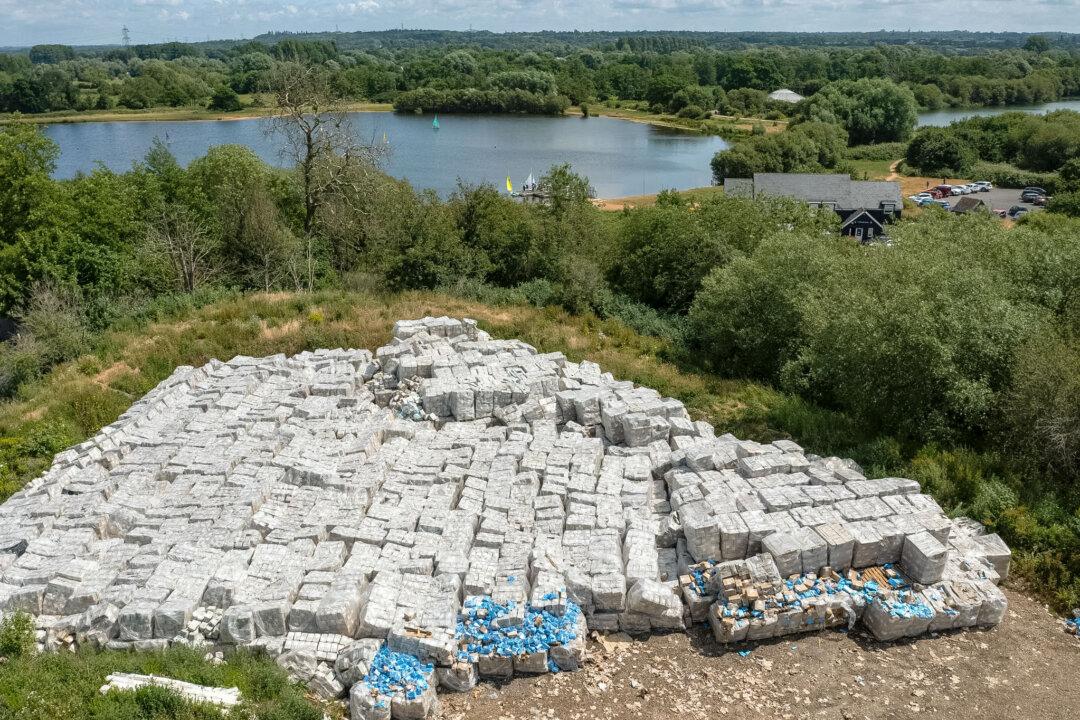 Contracts Corruption Probed in Report as COVID-19 Inquiry Returns