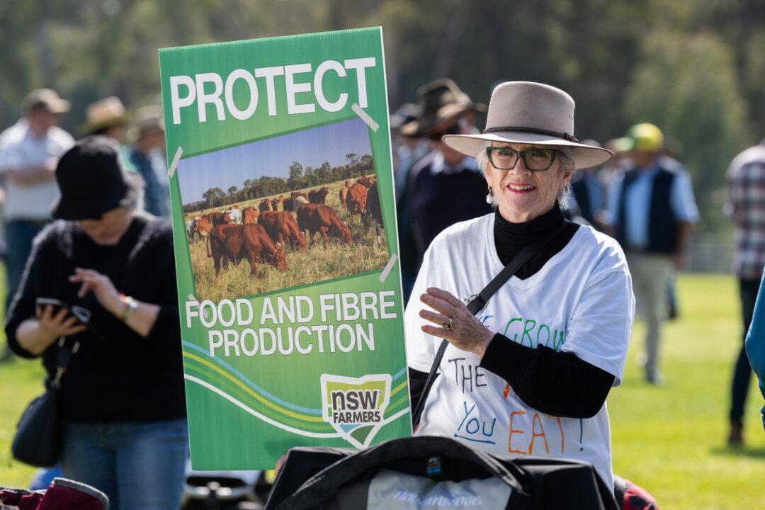 ‘It’s About Policy, Not Politics’: Farmer Leader on Canberra Protest