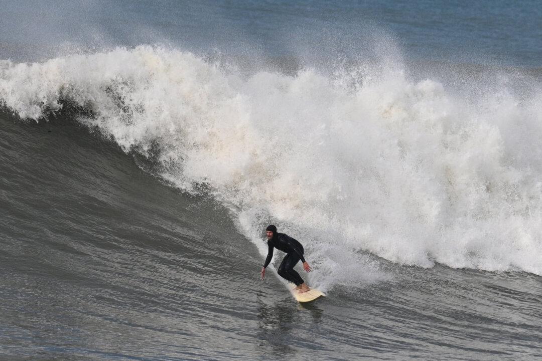 California Surfing, the State Sport