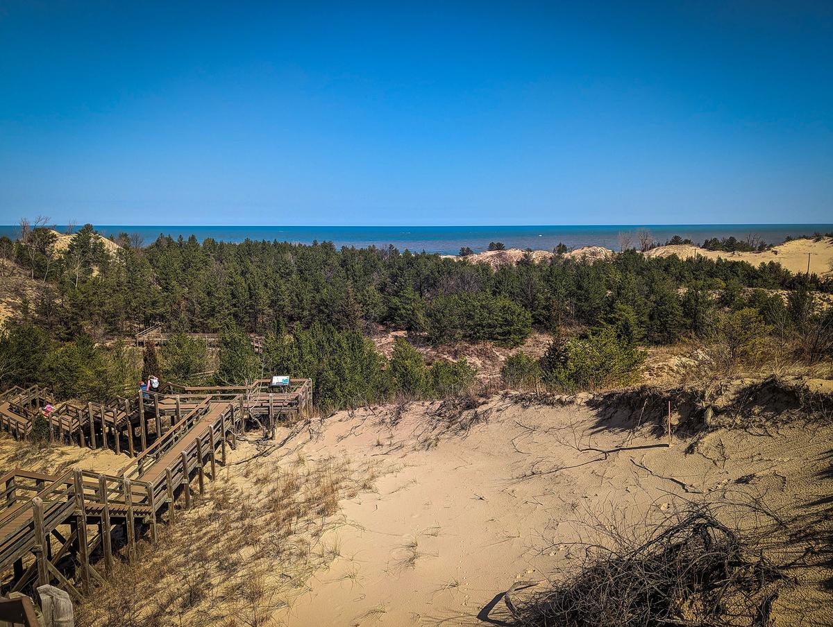 Indiana Dunes National Park isn't just home to many dunes; it's also one of the most biodiverse ecosystems in America. (DreadfulGlory/Shutterstock)