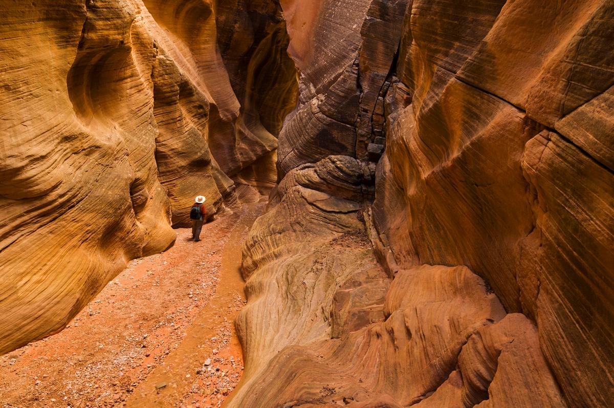 Willis Creek Slot Canyon within Grand Staircase–Escalante National Monument. (Neale Clark/robertharding/Getty Images)