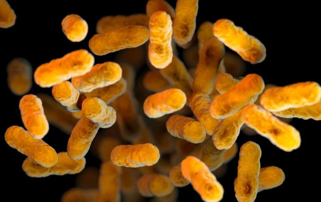 CDC Reports Dramatic Increase in Whooping Cough: What Parents Should Know