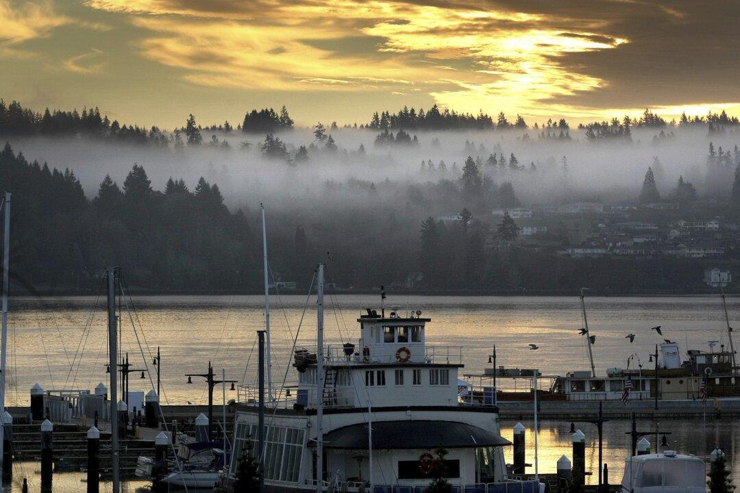 River Otter Attacks Child at a Seattle-Area Marina