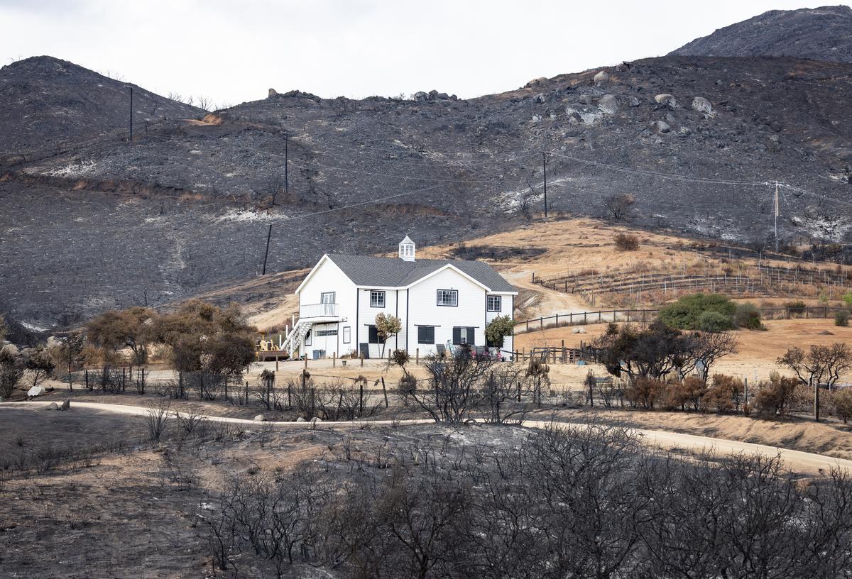 California Bars Insurance Cancelation for Properties in Fire Zones for 1 Year