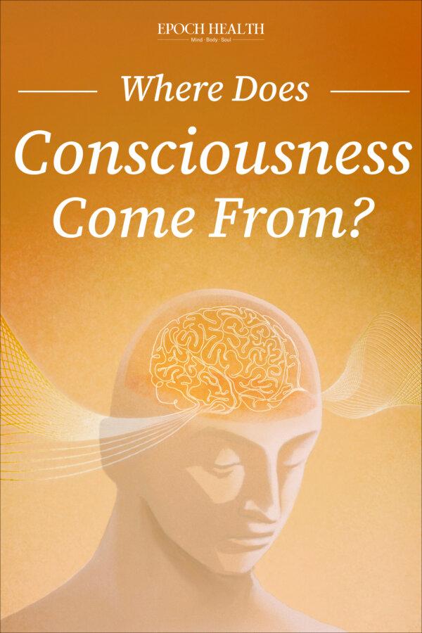 Where Does Consciousness Come From?