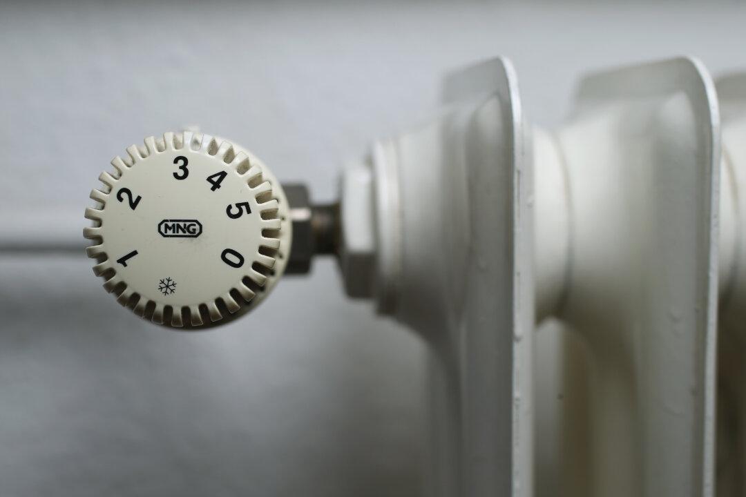 Austerity by Choice or Force?