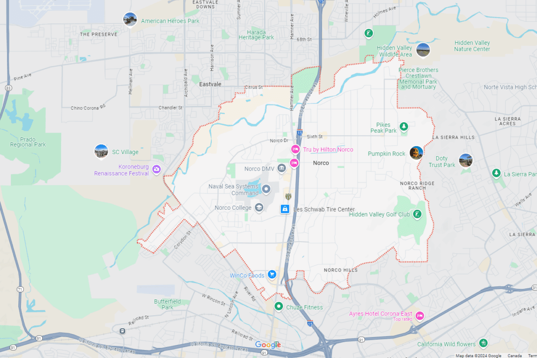 Passenger Killed When Horse Smashes Through Windshield During California Highway Crashes
