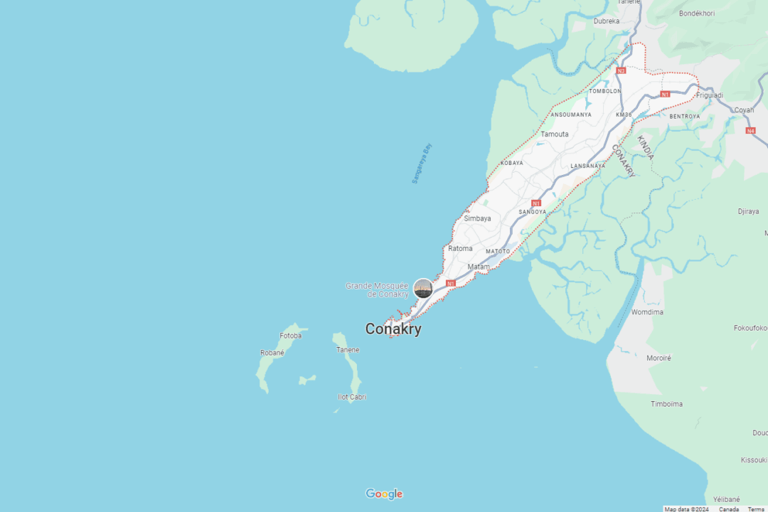 Gunfire Erupts Near Guinea’s Presidential Palace and the Military Locks Down the Area