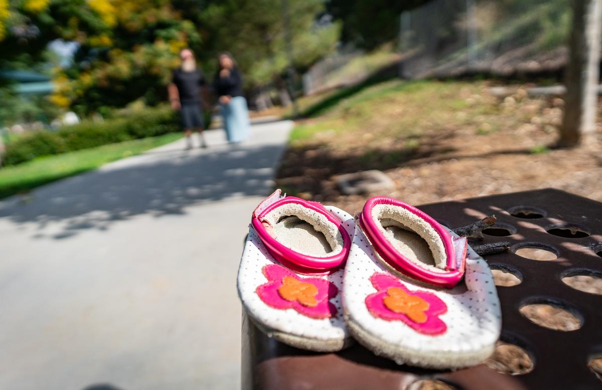 SA Bill to Ban Late-Term Abortion Fails as Cancer-Stricken MP Rushes Back to Vote