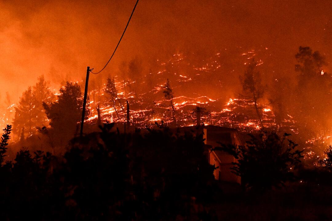 Wildfire Burning Through Forest in Southern Greece Kills 2 People