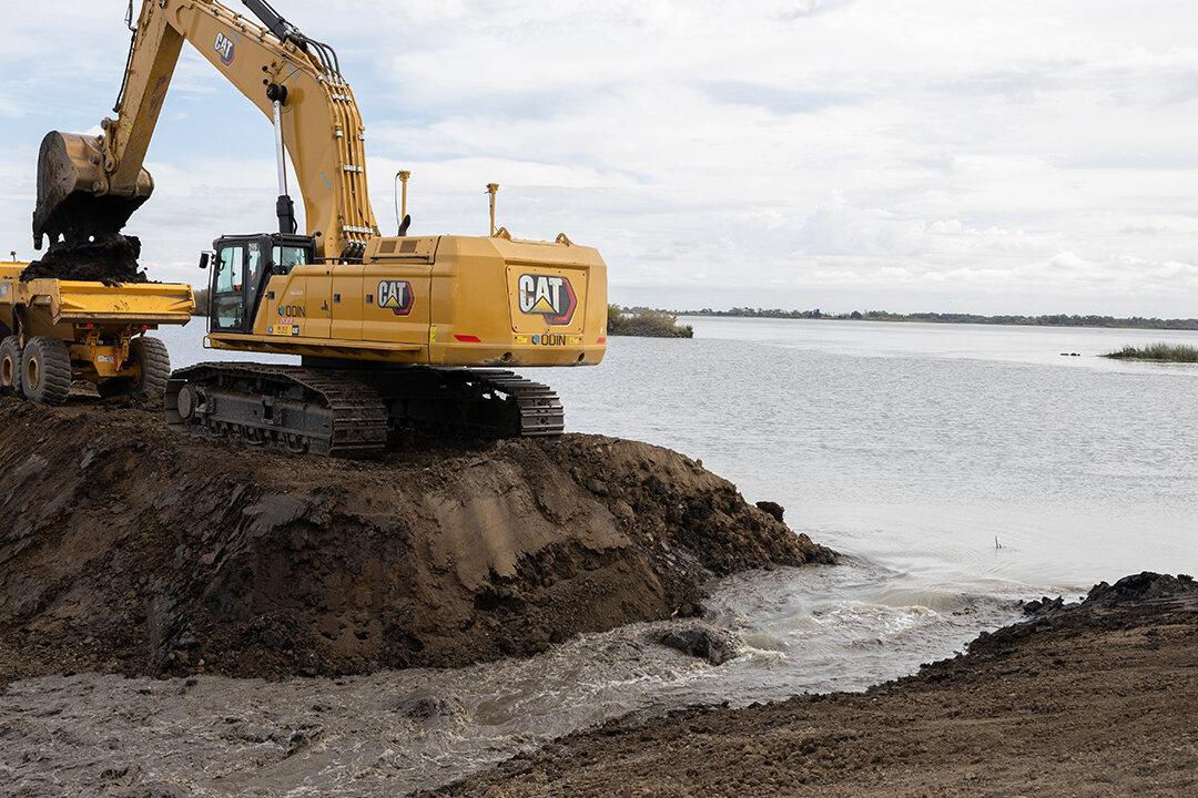 California Breaches Levee to Restore Habitat