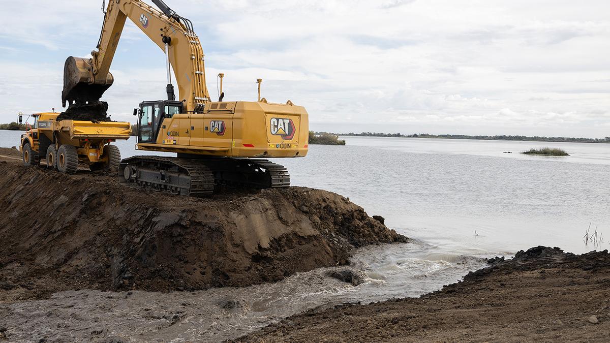 California Breaches Levee to Restore Habitat
