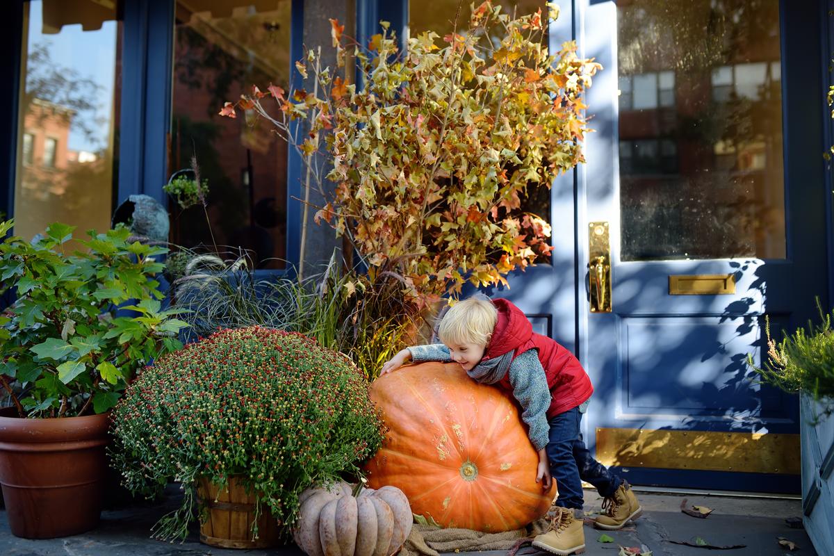 Giant Pumpkin Festival Returns to Ontario Town This Weekend