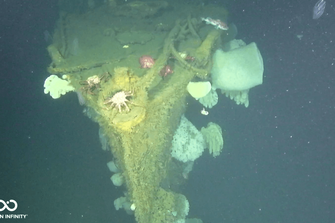 ‘Ghost Ship’ World War II Destroyer Found Off California