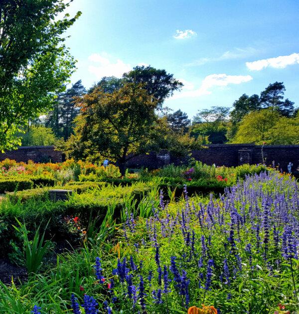 The peninsula around Fort Ticonderoga includes wet lands and a variety of plant life. (Fort Ticonderoga)