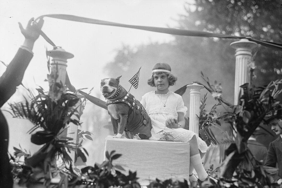 Sgt. Stubby: Mascot and Dog Hero