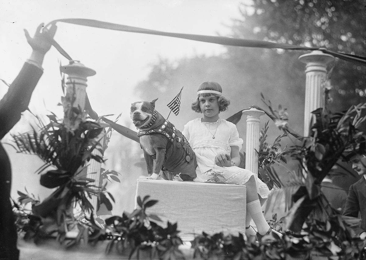 Sgt. Stubby: Mascot and Dog Hero