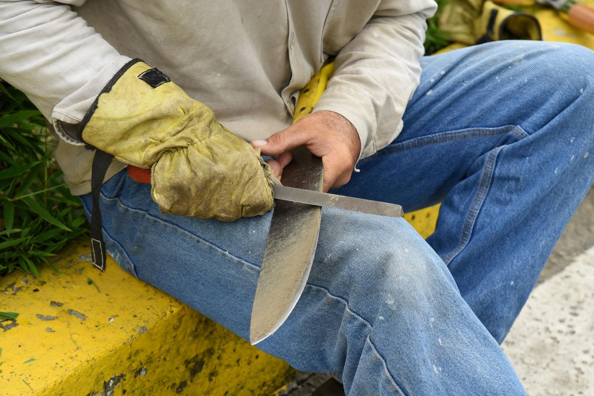 Manitoba Introduces Legislation to Regulate Machetes and Long-Bladed Knives
