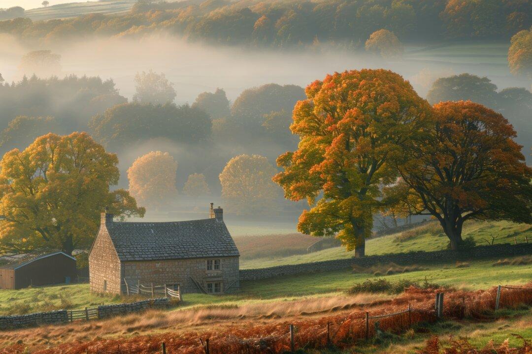 Taking the Kids: Leaf Peeping 21st-Century-Style