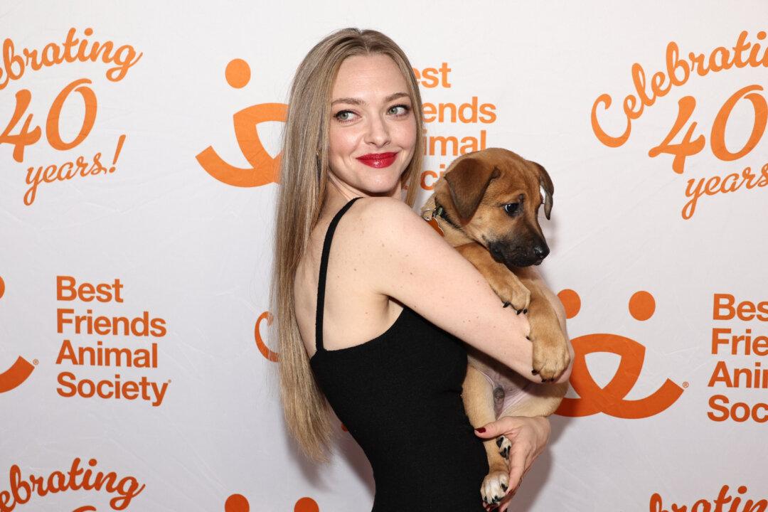 Amanda Seyfried Says Her 15-Year-Old Rescue Dog Helped Her Avoid Trouble in Hollywood