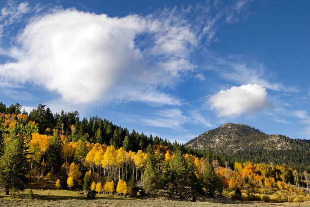 California’s Fall Color: There’s Still Time for Leaf-Peeping in the Golden State