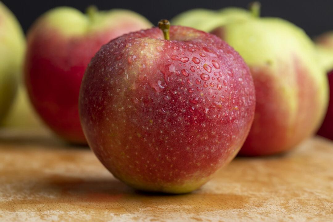 Enjoy the Flavors of Fall Without the Heavy Dishes