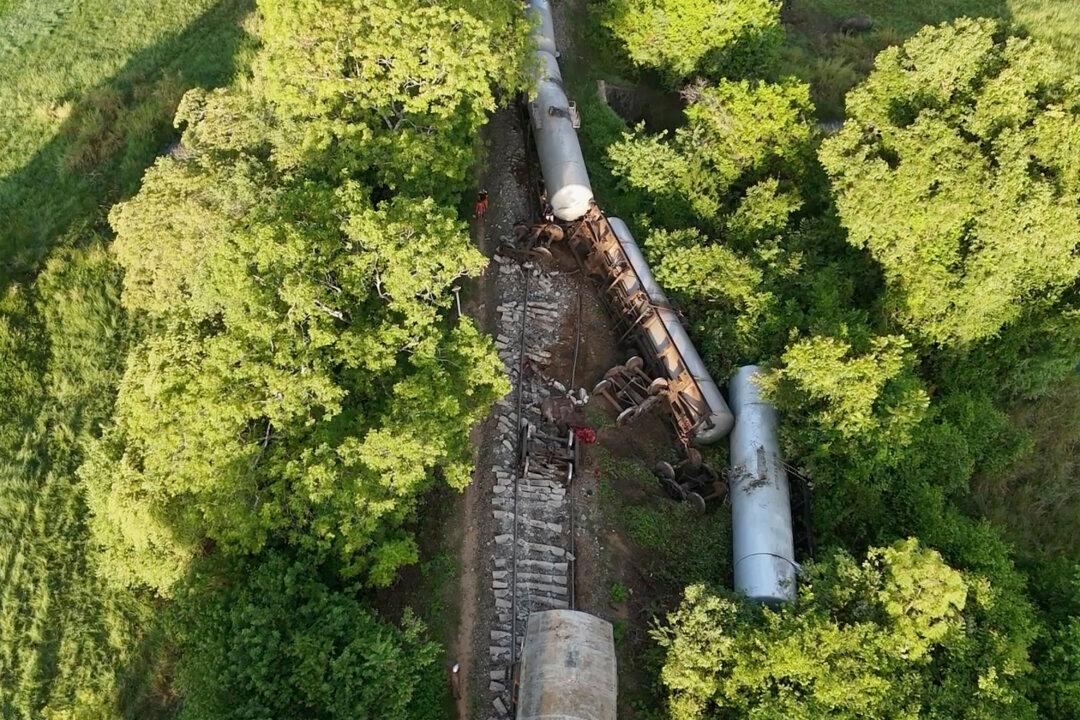 Train Hits and Kills 2 Wild Elephants in Sri Lanka as 2 of Its Fuel-Carrying Tankers Derail