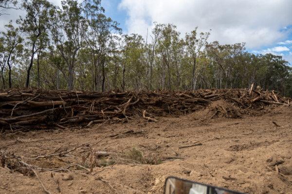 Land clearing for the construction of wind turbines for the Kaban wind farm, southwest of Cairns in northern Queensland, Australia. (Courtesy of Steven Nowakowski)
