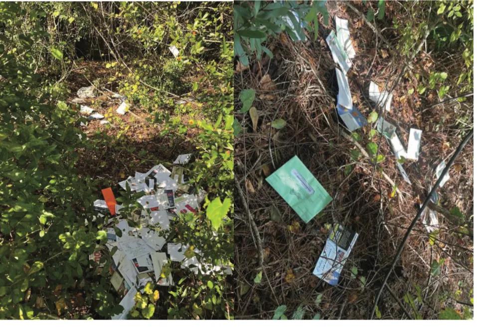 Florida Postal Worker Accused of Dumping 1,000 Pieces of Mail