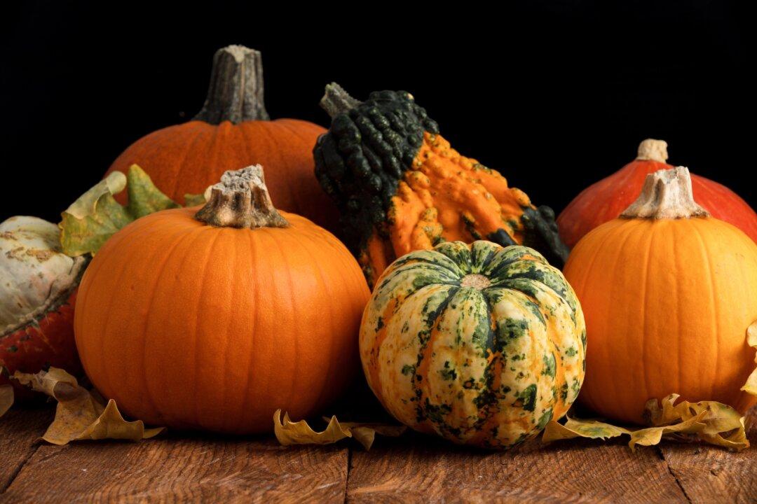 Pumpkin Substitutes