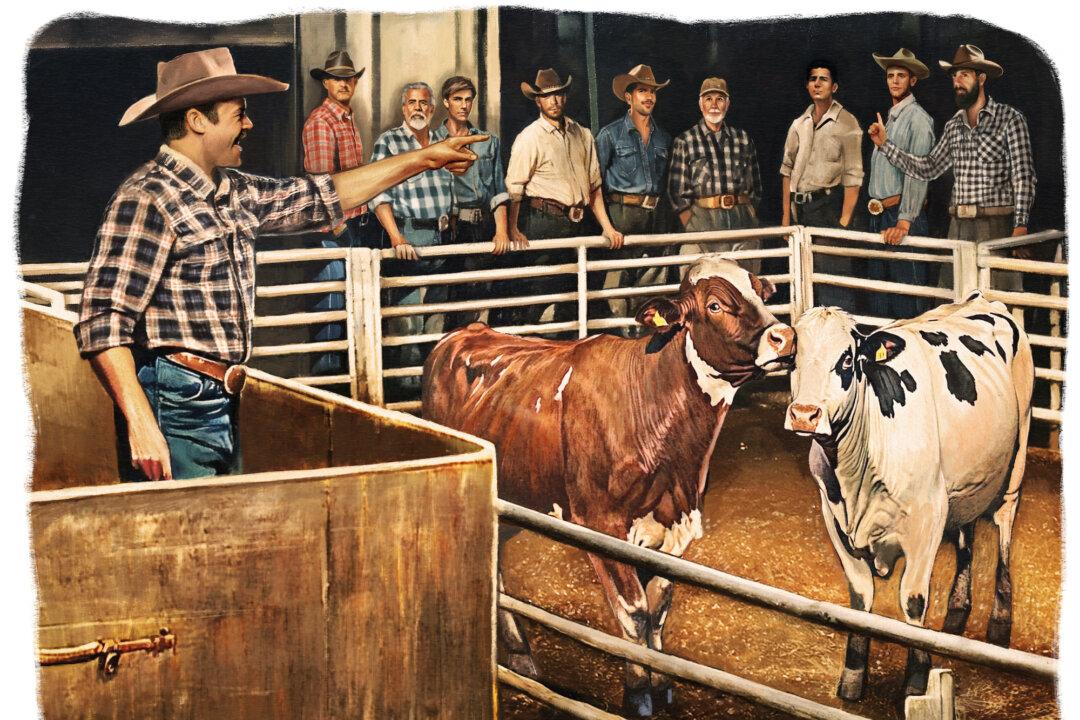 Stepping Back in Time at a Cattle Auction