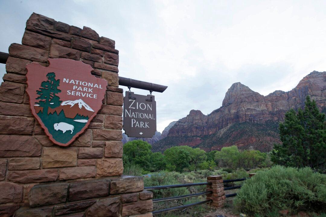 Man Falls to His Death While Canyoneering in Zion National Park