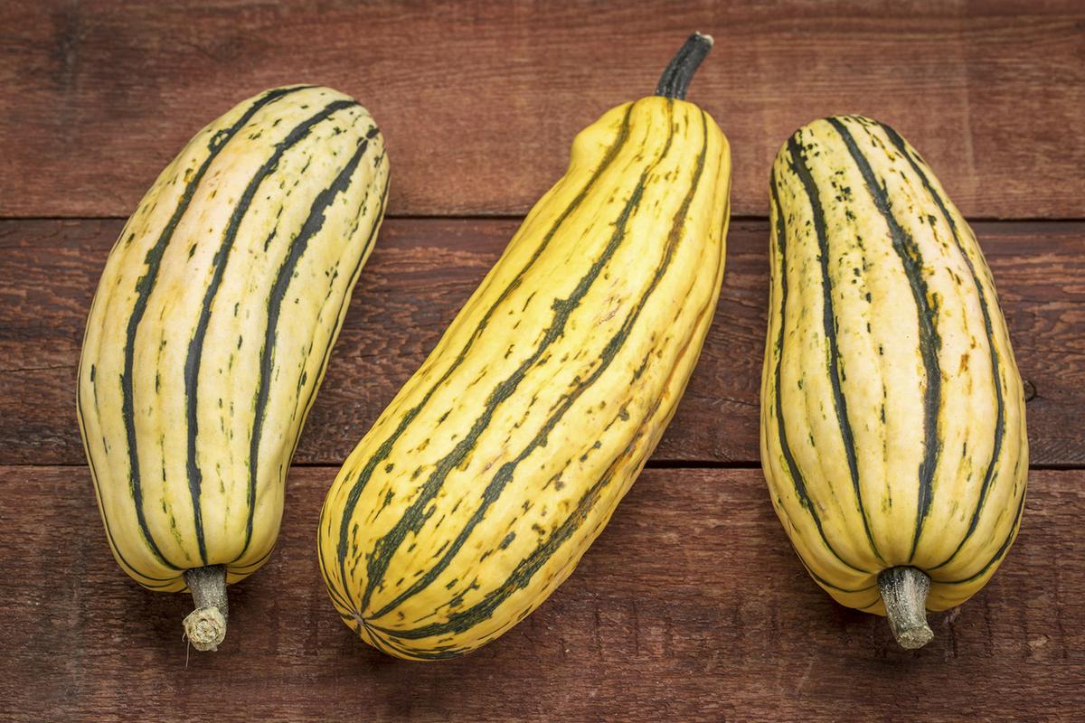 It’s Squash Season, and We’re All About Delicata