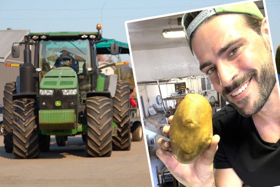 Man Rejects a $200K Salary in Sales to Help Manage Family Farm With a Century-Old Legacy—‘My Purpose in Life’