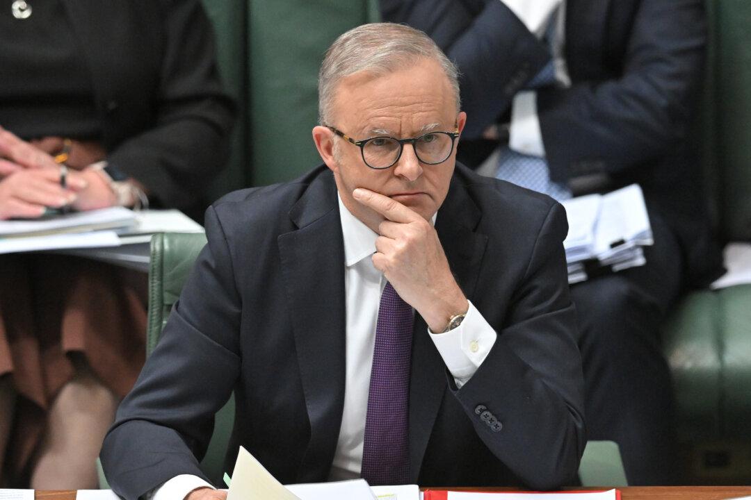 Labor Pushes Permanent Fee-Free TAFE, Higher Student Debt Repayment Threshold