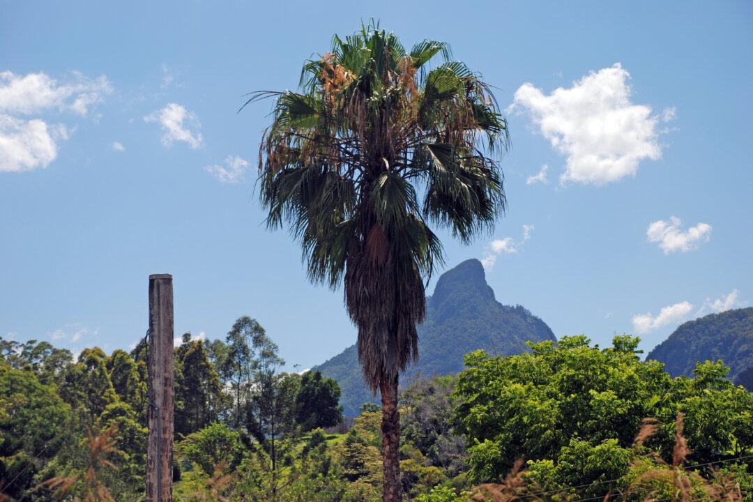 White Supremacist Protesters Climb Off-Limits Indigenous Site