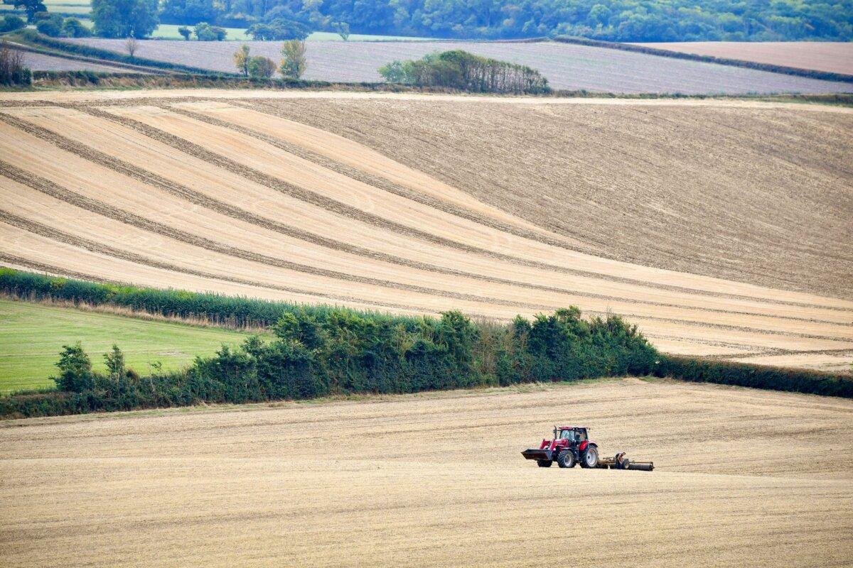 A farm in England in an undated file photo. (Ben Birchall/PA)