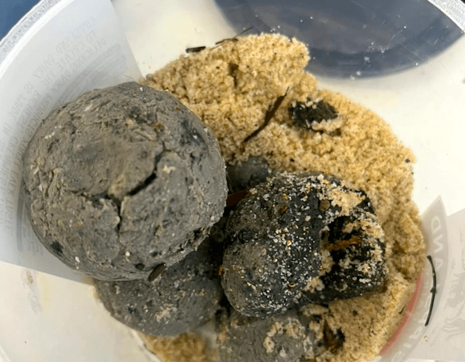 Mysterious Balls on Sydney Beaches Were Actually a Mix of Faeces and Drugs