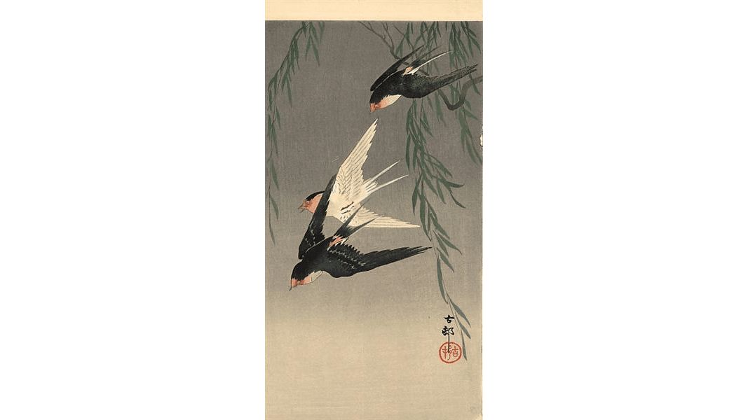 Louisa May Alcott’s Short Story, ‘What the Swallows Did’