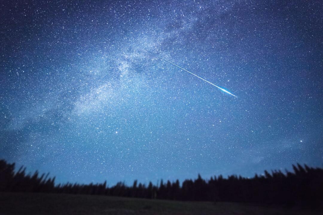 The Leonid Meteor Shower to Fall Mid-November—and It’s Famous for Its Storms of Shooting Stars